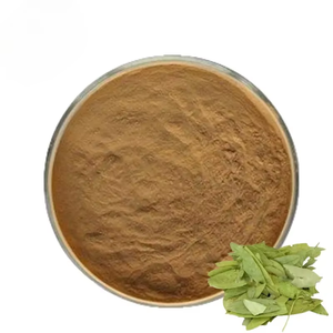 Poudre de feuilles de séné 100 % pure, naturelle, pour un nettoyage en profondeur et un soin revitalisant des cheveux, source végétale de mucilage et de saponines - Product Image 6