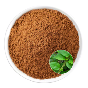 Poudre de Gymnema Sylvestre de haute qualité à base de plantes, 100 % naturelle, qualité alimentaire, pour maintenir le bien-être général - Product Image 1