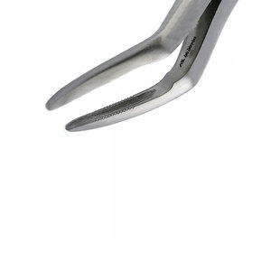 Forceps d'extraction dentaire en acier inoxydable, instrument chirurgical pour une extraction précise des molaires et des prémolaires - Product Image 4