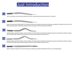 ชุดเครื่องมือถอนฟันแบบใช้มือ พร้อมอุปกรณ์เสริม 5 ชิ้น สำหรับคลินิกทันตกรรม ทำจากสแตนเลสสตีล 4 รู - Product Image 3