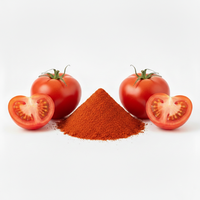Gespraydroogd puur biologisch niet-GMO tomatenpoeder 100% natuurlijk 80-100 mesh Uitstekende wateroplosbaarheid Geen conserveermiddelen Bulk Natuurlijk