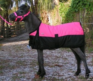 Couverture de cheval réfléchissante haute visibilité, imperméable, avec col détachable et ajustable, pour l'extérieur - Kanpur - Product Image 3