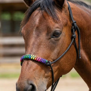 Harnais en cuir noué à la main de qualité supérieure avec muserolle tressée arc-en-ciel |   Harnais d'équitation de style anglais personnalisable et durable - Product Image 4