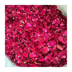 Pétales de rose rouge séchés naturels en gros - Écologiques et durables pour la décoration de mariage, les bains, l'artisanat et les projets DIY |   99 Données Or - Product Image 2