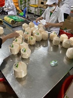 [Hoge Kwaliteit] Vers Kokosnoot Vers Fruit-Groothandel Vers Fruit Kokosnoten Water Uit Vietnam Voor Zomerdranken