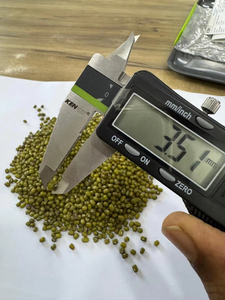Meilleures ventes : Haricots mungo verts entiers Sortex, qualité supérieure pour l'exportation et la vente en gros - Product Image 3
