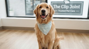 Aplicación Móvil de Cuidado y Aseo de Mascotas para MAC/Linux/Servicios que Incluyen Aseo de Mascotas, Visitas Veterinarias, Alojamiento y Entrenamiento - En Stock - Product Image 4