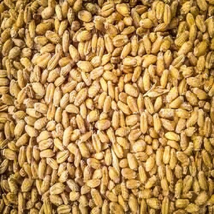 Granos de Trigo Blando Premium al por Mayor, Venta al por Mayor, Grado Alimenticio, Disponibilidad Inmediata, Mejor Calidad para Exportación - Product Image 1