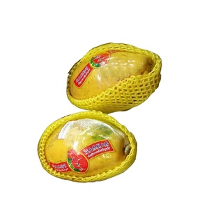 Wholesale EPE Colorful Guava Foam Protection <strong>Net</strong> Cushioning Sleeve for <strong>Wine</strong> <strong>Bottle</strong> <strong>Protective</strong> Material <strong>Supplier</strong> - Product Image 3