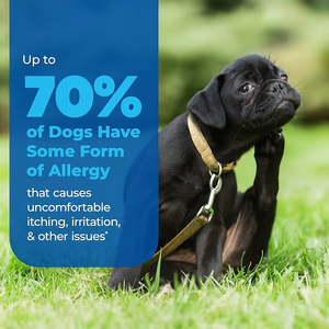 Golosinas Masticables Suaves para Perros y Gatos con Zinc Orgánico Natural, Cúrcuma, Alivio para la Piel con Picazón, Antialérgico, Suplemento de Omega-3, Salud Estacional - Product Image 3