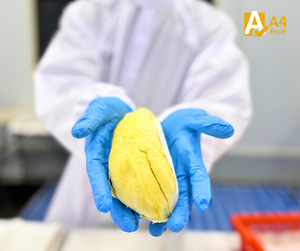 Durian Monthong Premium de Tailandia, Pulpa Dulce Dorada, 500g, 14 Días de Vida Útil, Exportación al por Mayor, Trozos Congelados, Pulpa, Sabor Original - Product Image 2