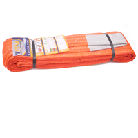 Sangle plate de levage de charge robuste en polyester 100% (10-12 tonnes) orange, personnalisée OEM/ODM, marque Provina, pour la sécurité des marchandises