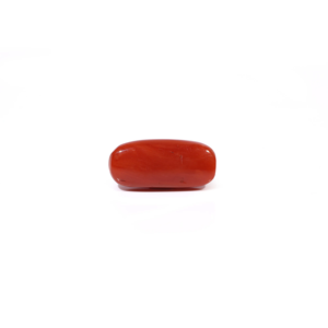 Natural Red Coral Loose Gemstone 4.71 Carat Certified Wholesale Raw - Product Image 2