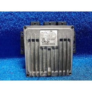 ECUs y Módulos de Computación Usados de Carnival 391014X820 - Product Image 1