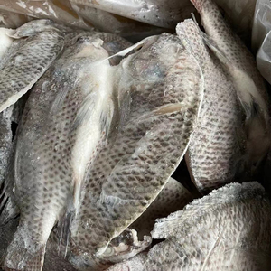 Filetes de Pescado Congelados de Primera Calidad, Suministro al por Mayor, Grado Alimenticio, Listos para Enviar, Proveedor de Exportación de Alta Calidad - Product Image 3