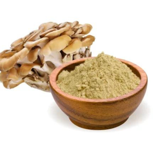Poudre de Champignons Maitake de Qualité Supérieure, Extrait Séché de Grifola Frondosa, Supplément Super Alimentaire Naturel pour l'Immunité, Vente en Gros - Product Image 1