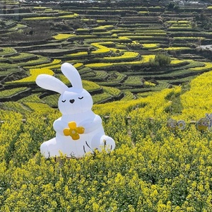 Conejo inflable gigante con luces LED, modelo de conejo de Pascua inflable para decoración de eventos/festivales/promoción de parques/fiestas/días festivos - Product Image 4