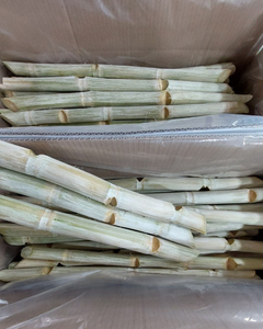 PIÈCES DE CANNE À SUCRE CONGELÉES PREMIUM – DOUCEUR NATURELLE, PROCÉDÉES HYGIENICAMENT - Product Image 4