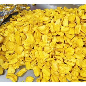 Chips de Jaca Crujientes Fritos al Vacío, Snack de Fruta Tropical de Vietnam, OEM, Empaque a Granel, Proveedor Mayorista de Exportación - Product Image 3