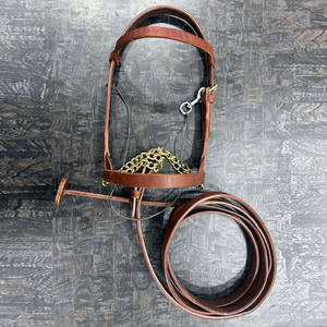 Cabestro de cuero de primera calidad para entrenamiento de caballos árabes con correa, hecho de cuero vacuno de grano completo y herrajes de latón macizo. - Product Image 1
