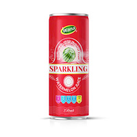 Premium natuurlijk gearomatiseerde bruisende druiven- en watermeloen sap frisdrank 250ml fles |   Verfrissende drank |   Vietnamese exporteur