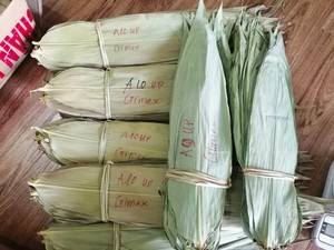 Feuilles de bambou sèches de grande taille Origine Vietnam 40 cm de longueur 25 kg/sac Certifié ISO Appel direct +84984418844 - Product Image 2