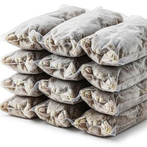 ขาคางคกแช่แข็งคุณภาพสูง เนื้อสดและดีต่อสุขภาพ บรรจุสำหรับขายส่งและส่งออก - Product Image 1