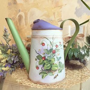 Elegante regadera metálica para interiores, para plantas decorativas del hogar, con pico largo, mango ergonómico, revestimiento resistente al óxido y acabado duradero. - Product Image 1