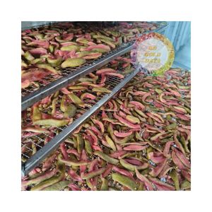 MEILLEUR PRIX - CHIPS DE GOYAVE SÉCHÉES MOELLES - GOYAVE ROSE TENDRE MÉLANGE PIMENT ET SEL - VENTE EN GROS - Fournisseur 99 Gold - Product Image 6