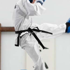 Meilleurs fabricants de ceintures d'arts martiaux, ceintures d'arts martiaux de haute qualité à vendre - Product Image 5