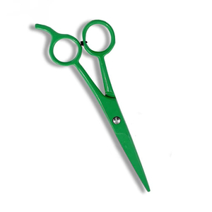 Ciseaux de coiffure professionnels verts, lame tranchante, manche moyen, pour droitiers, manche en plastique, lame en acier inoxydable - Product Image 1