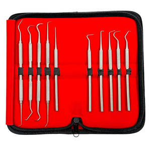 Stainless Dentist Cleaning Tool Set 7pcs Dental Hygiene Kit Scaler Pick Mirror with Zipper <b>Case</b> CE Approved By Grip Surgical - Product Image 5