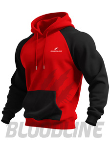 Sweat-shirt à capuche pour homme Bloodline, manches raglan, imprimé, poche, décontracté, pour l'automne - Product Image 2