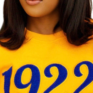 Sweat-shirt en chenille à manches longues pour femme, motif Golden Poodle 1922 Sigma Gamma Rho, mélange de coton, coupe décontractée et élégante - Product Image 5