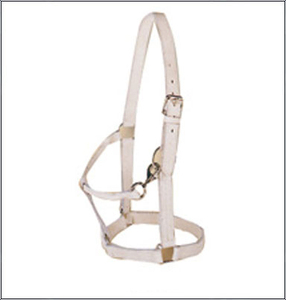 English & Western Saddle Horse Leather <b>Halter</b> with Brass Buckle Nylon & PP Accessory Fitting for Horse Rugs - Product Image 3