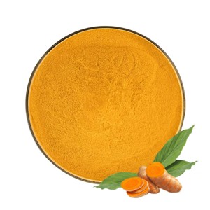 Polvo de Cúrcuma Premium 100% Puro y Natural, Polvo de Raíz de Curcuma Longa con Rico Sabor para Cocinar, Leche Dorada, Té y Curry - Product Image 2