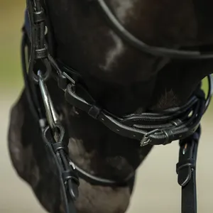 Horse Leather Bridle 100% Genuine Leather Black Colors Softy Padded Stainless Steel Hardware <b>Leaf</b> Design Fancy Stitching - Product Image 5