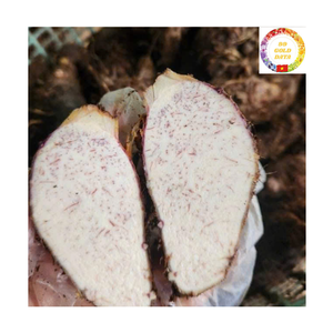 Raíz de Taro Congelada IQF, Pelada y en Rodajas, Calidad Premium, Empaque a Granel de 10 kg, Proveedor de Exportación de Vietnam - Product Image 3