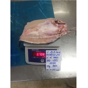 Filet de Pangasius Congelé VH Food, Faible en Glucides, Couleur Naturelle, Qualité Export Vietnam IQF, Tailles 20-35, Style Papillon, Avec Peau/Sans Peau - Product Image 3