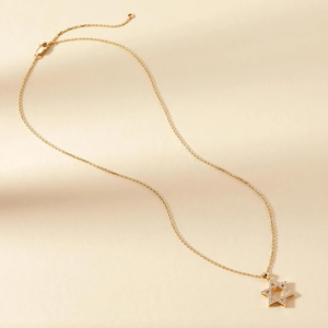 สร้อยคอทองคำ 14k รูปดาวหกแฉก_จี้เพชรเพาะเลี้ยงในห้องปฏิบัติการ - Product Image 2