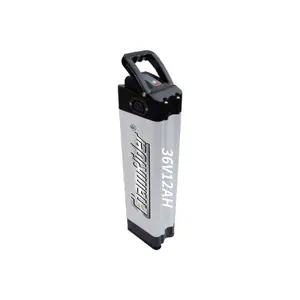 Middle Tube Electric Bicycle Rechargeable Replace 36v 12ah 48v 200ah Li Ion LifePo4 Battery Lithium Ion Batterie Pack for Ebike