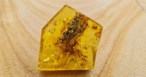 Corte de Ámbar Báltico Natural, Gema con Forma Elegante, Color Increíble, Ámbar Suelto al por Mayor para Joyería, Piedra de Nacimiento de Mayo - Product Image 2