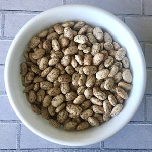 Frijoles Pinto Empacados a Granel para Distribuidores Globales que Ofrecen Frijoles Pinto Naturalmente Limpios con un Color y Forma Uniformes - Product Image 2