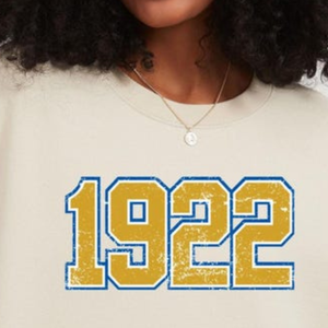 Sweat-shirt col rond personnalisé style universitaire, pull en polaire oversize avec patch brodé, vêtement décontracté streetwear - Product Image 2