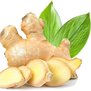 Prix direct usine, Vente chaude, Qualité supérieure, Vente en gros, Gingembre frais biologique en vrac, Légume frais de qualité exceptionnelle - Product Image 1