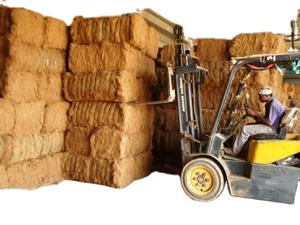 Fibre de coco avec une forte capacité d'absorption d'eau et des propriétés ignifuges pour la conception de brosses à matelas en corde et d'articles de rembourrage. - Product Image 2