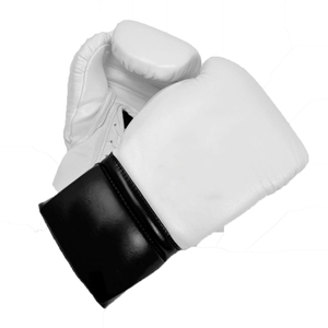 Gants de boxe sur mesure pour hommes et femmes, entraînement de combat, entraînement au sac de frappe, produit le plus vendu - Product Image 1