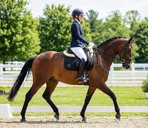 Tapis de selle d'équitation en peau de mouton avec garniture en peau d'agneau et doublure en polaire, design carré, couleur et logo personnalisables, pour l'équitation - Product Image 5