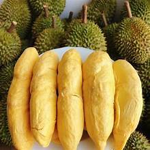 Lyophilisé Durian Ri 6 Durian Freeze Dry Technology-Durian séché fabriqué à partir de 100% Durian frais de haute qualité riche et crémeux - Product Image 6