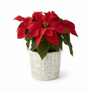 Vase à fleurs en os incrusté de motifs floraux jaune moutarde, pot de fleurs décoratif pour table, pour la décoration de la maison et des hôtels, vente en gros - Product Image 3